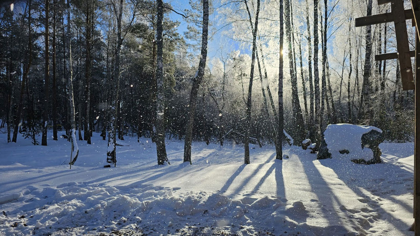 Lumihiutaleita leijuu auringonpaisteessa