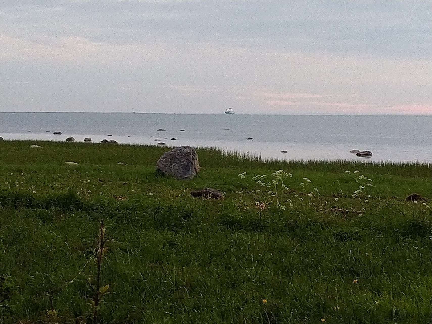 Merenranta, jossa kasvaa korkea, vihreä ruoho