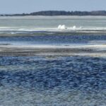 Jäälohkareita muutoin sulassa meressä